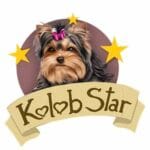 Kolob Star