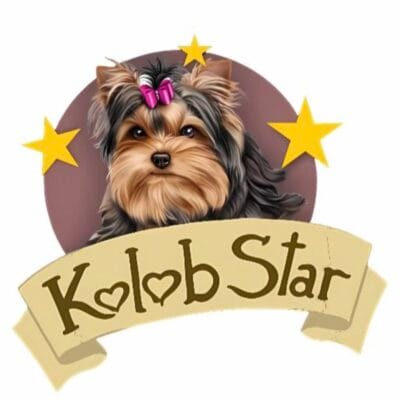 Kolob Star