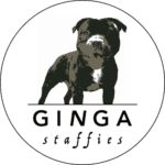 Ginga Staffies