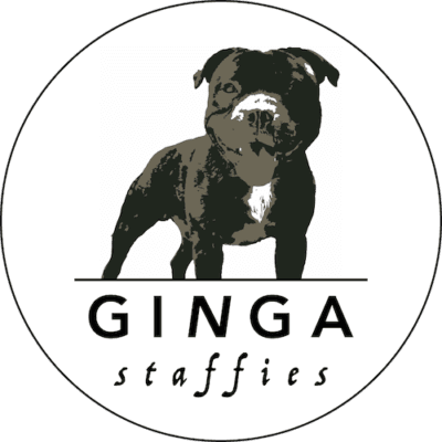 Ginga Staffies