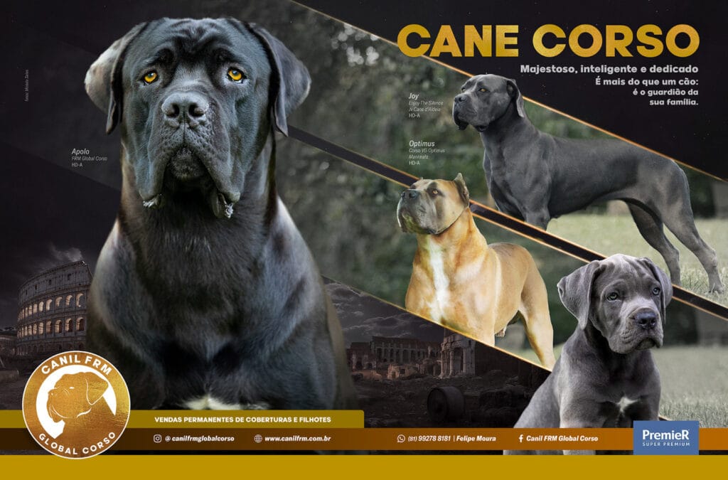 Canil FRM Global Corso